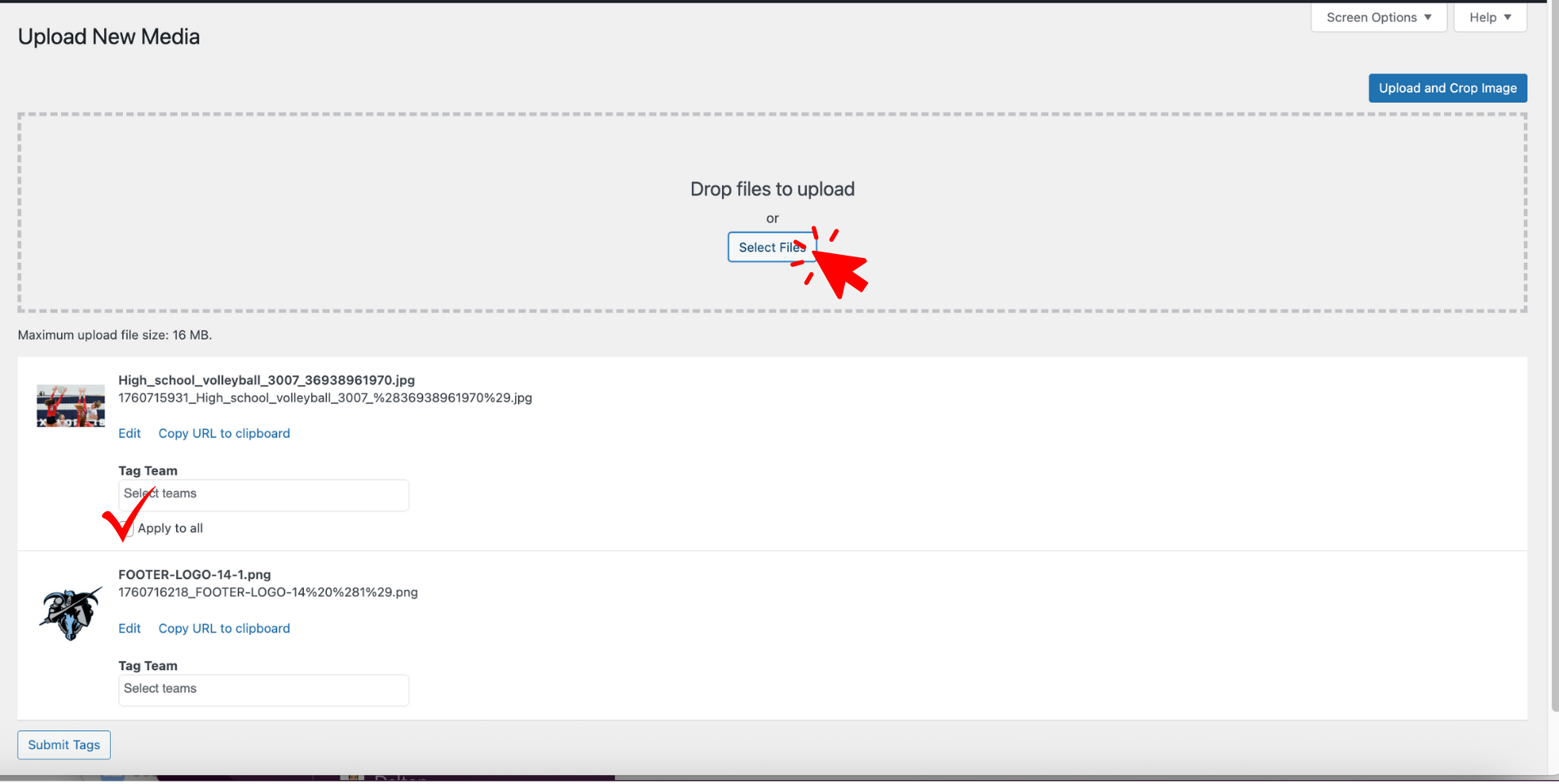 Athletic Director Guide Home Campus Website (9).png
